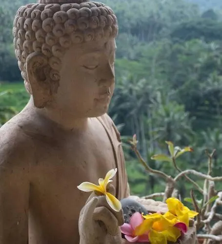 Apartment Heaven View 1 B Ubud (Bali)
